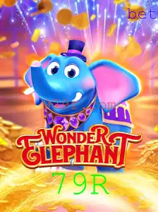 WonderElephant: Aventuras Incríveis no Mundo dos Elefantes